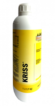 Kriss