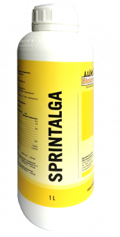 Sprintalga